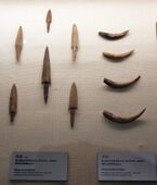 Peiligang Culture bone arrowheads & teeth scrapers