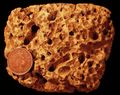 Numerous borings in a Cretaceous cobble, Faringdon, England; these are excellent examples of fossil bioerosion.