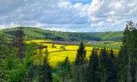 Fields