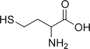 Skeletal formula