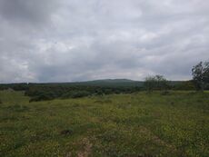 تل الأحمر إلى الجنوب