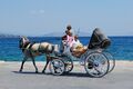 Carriage