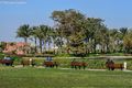 El azhar park - panoramio (4).jpg
