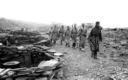 F polisario f.jpg