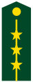 Chinese army