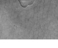 Patterned ground on Mars at 45° North