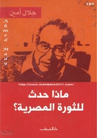 ماذا حدث للثورة المصرية؟