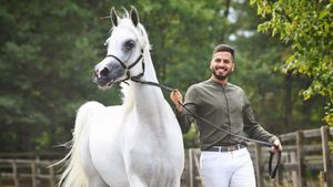 AL SHEIKH STUD