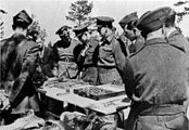 British and American officers (POWs) brought by the Germans to view the exhumations