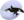 P Marine Mammals.png
