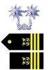 중령 견장.JPG