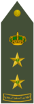 AQID (RSLF).png