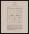 Proportions of a human male face