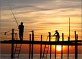 Fishing Fellowship, (2010) تركيا