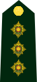 Canadian Army