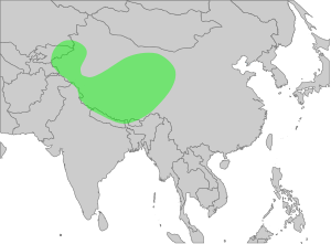 GypsHimalayensisMap.svg
