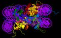 Nucleosome core particle 1EQZ v.3.jpg