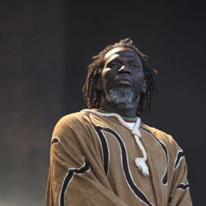 Tiken Jah Fakoly-IMG 5344.jpg