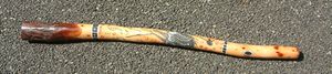 Didgeridoo Entier1.jpg