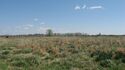 Eaker site