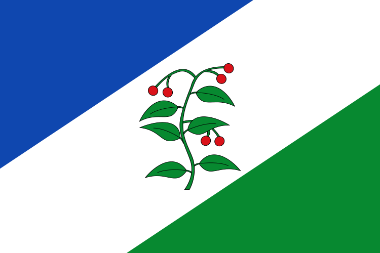 ملف:Bandera d'Arbúcies.svg