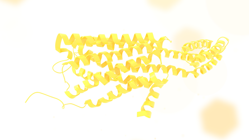 ملف:HTR2C .png