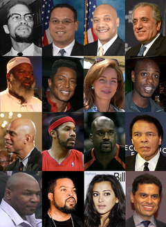 Muslim Americans.png