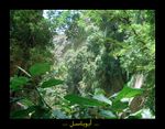 حدائق من كل مكان في الوادي