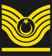 Army-TUR-OR-08.svg