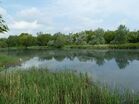 Marais de Wagnonville.jpg
