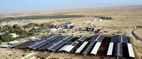 Arava-3.jpg