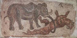 Elephant Attacking a Feline.jpg