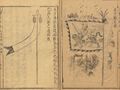 Ming dynasty