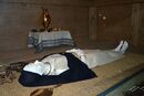 Princess of Reinheim (de) burial reconstruction