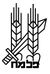 Palmach.jpg