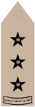 NAQIB (Field uniforms).png
