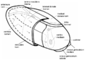 Parts of the thalamus
