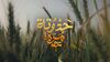 حدوته مرة.jpg