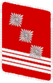 SA gorget patch