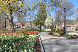 Coe Memorial Park in Torrington