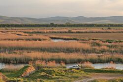 Озеро Картал 2.jpg