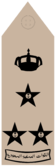 AMID (Field uniforms).png