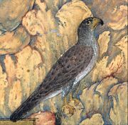 "The Concourse of the Birds", Folio 11r from a Mantiq al-tair (Language of the Birds) MET DT227735.jpg