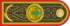 Погон верховного главнокомандующего Казахстана.png