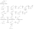 Steroidogenesis