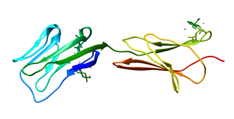 ملف:CD58 protein.png