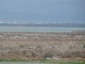 Limassol Salt Lake 2.JPG