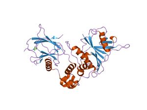 PDB 1lm8 EBI.jpg