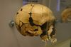 Teshik-Task. Homo neanderthalensis child.jpg