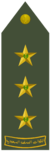 NAQIB (RSLF).png